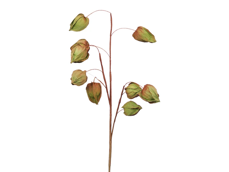 Physalis spray (9) green 70 cm