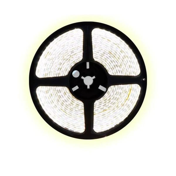 1 meter koud wit led strip - 120Leds/m - 12V