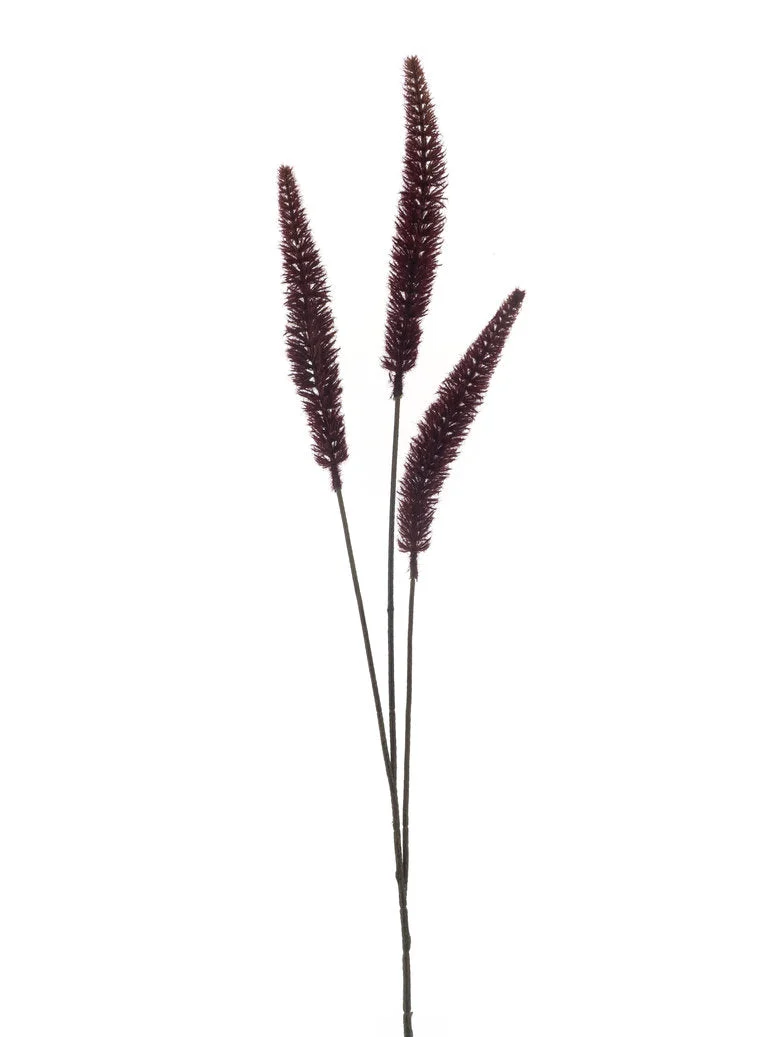 Dogtail grass spray burgundy 88cm