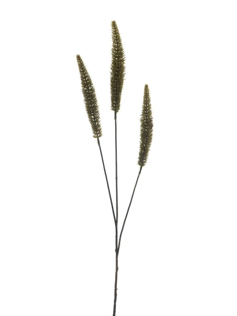 Dogtail grass spray green 88cm