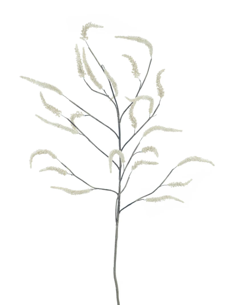 Setaria grass branch cream 125cm