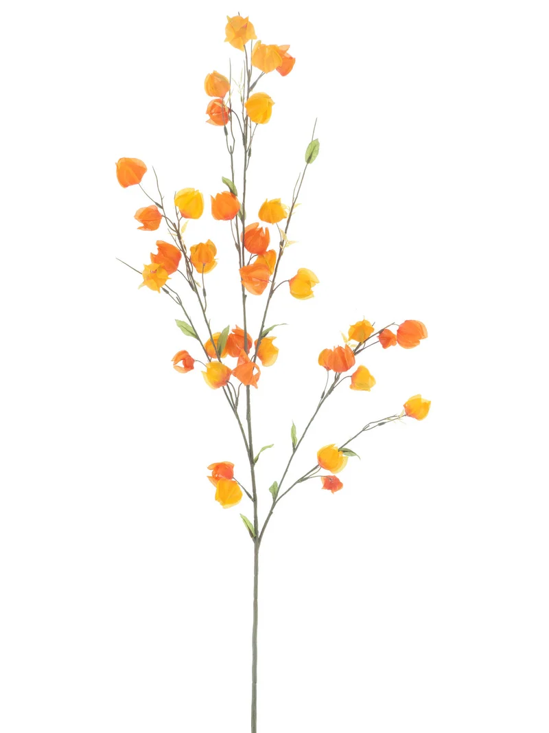 Physalis spray orange 110cm