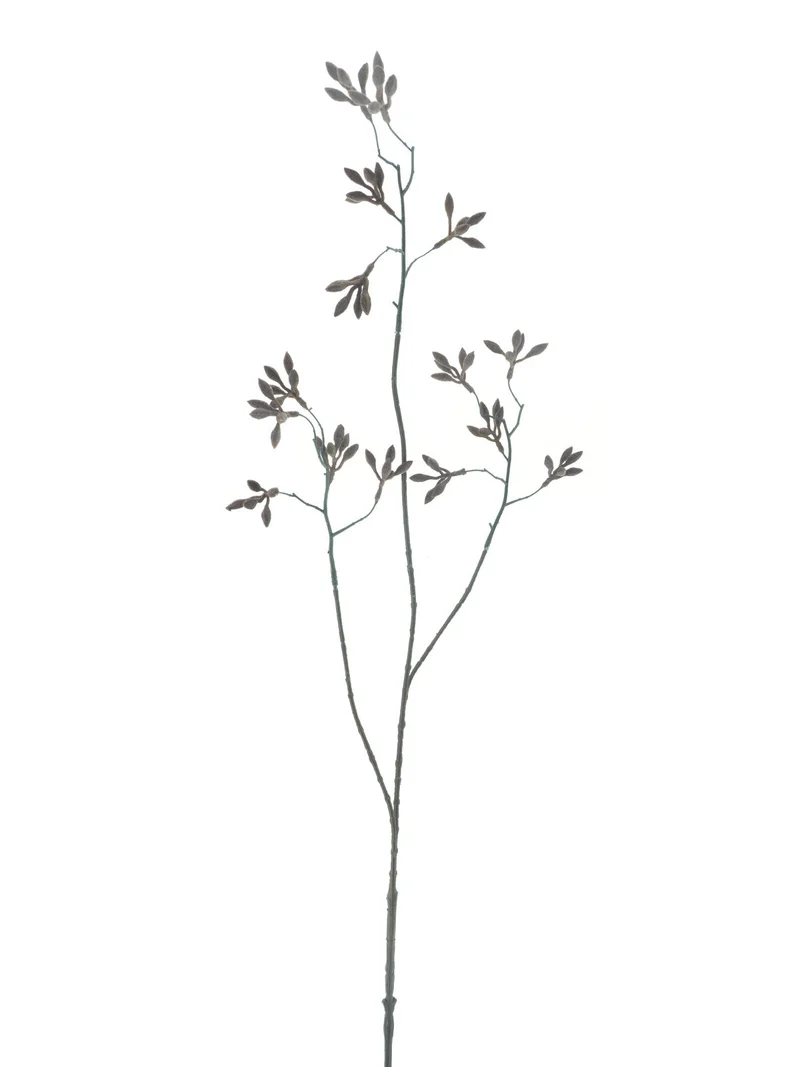 Eucalyptus bud spray brown 102cm