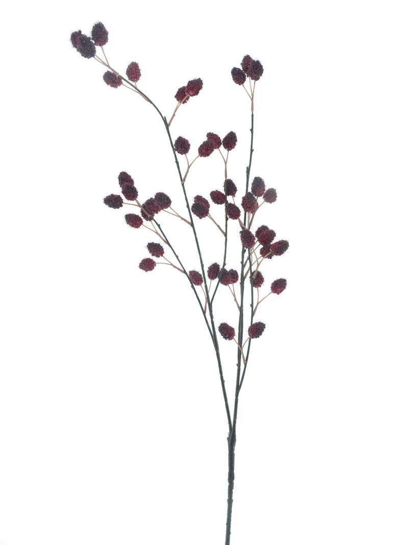 Rasberry spray red 91cm
