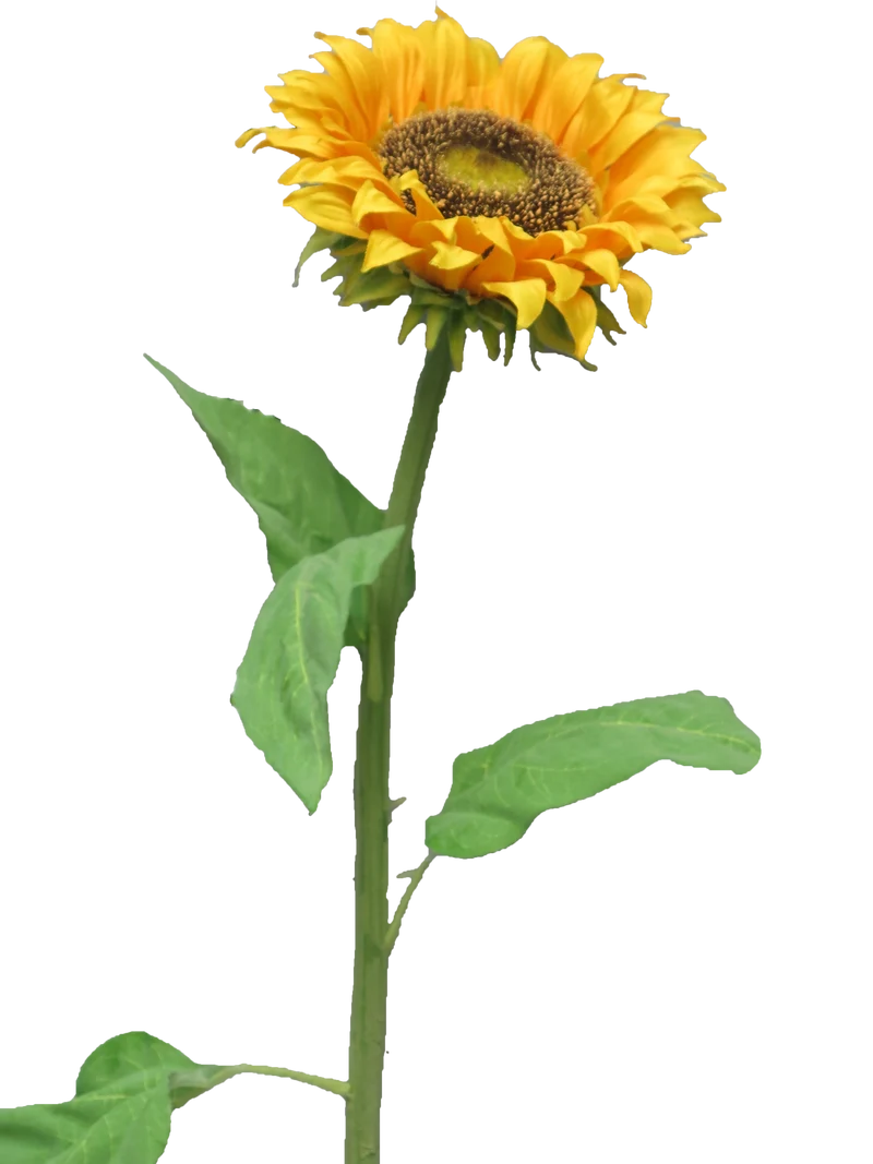 Sunflower Tuscany yellow medium 77cm