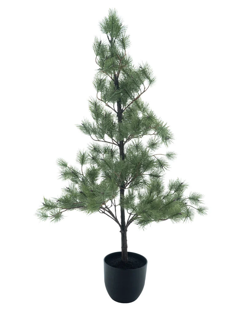 Needle pine tree in pot Ester white green 135cm