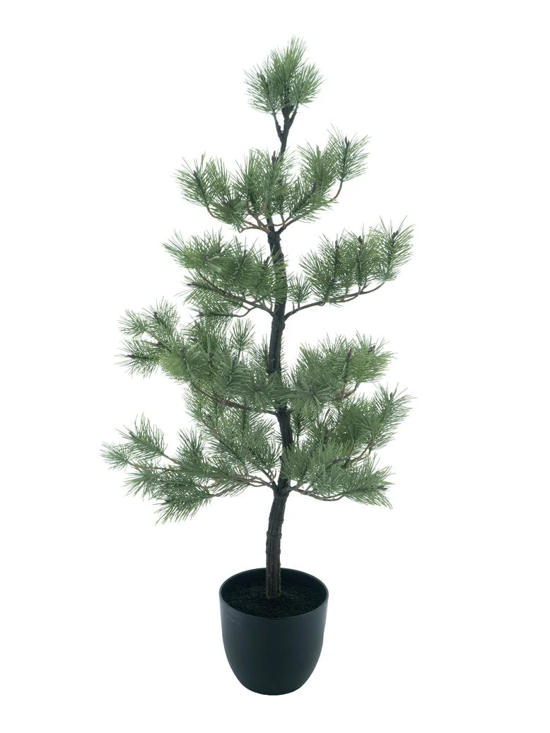 Needle pine tree in pot Ester white green 115cm