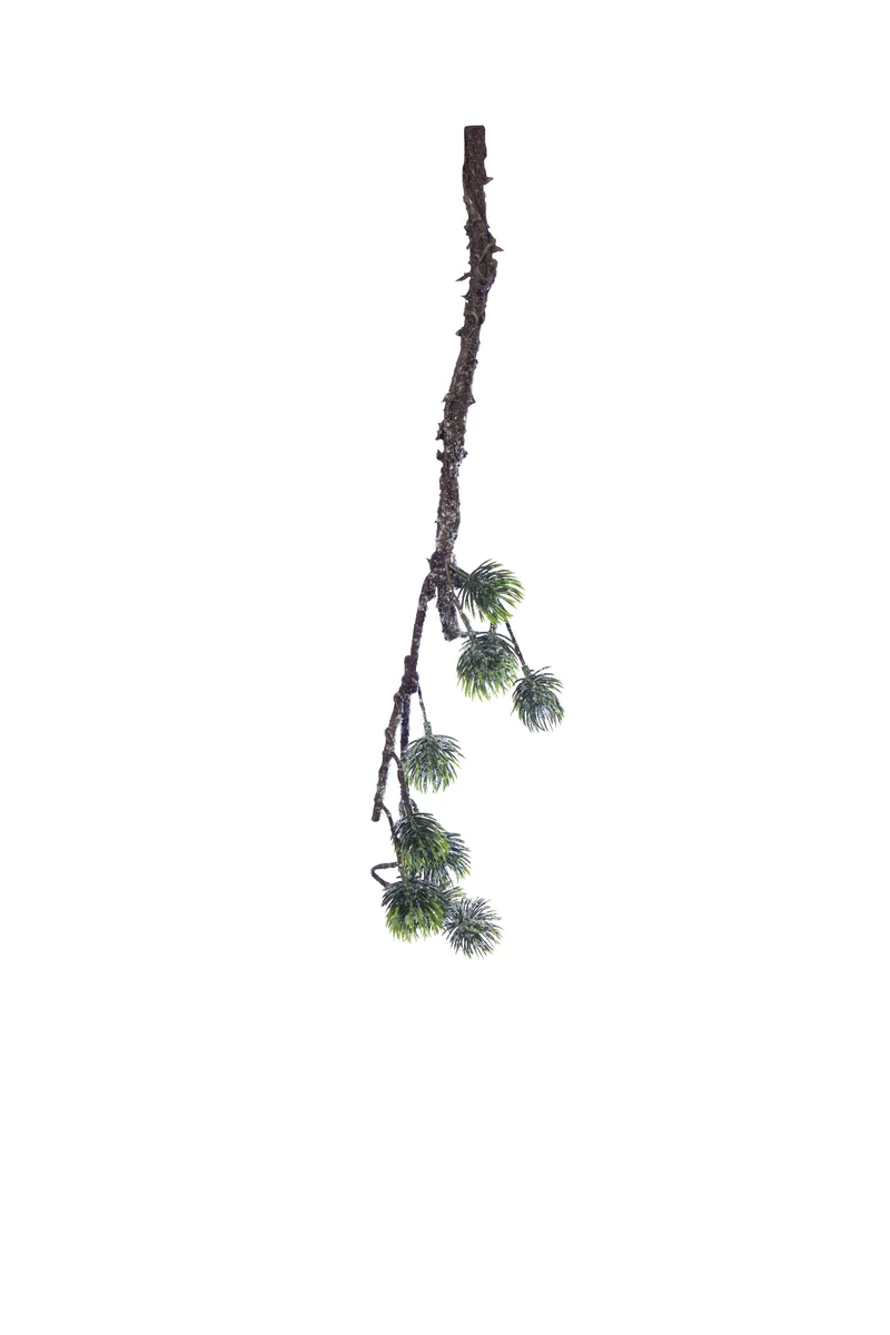 Dennentak groen 55cm frosted