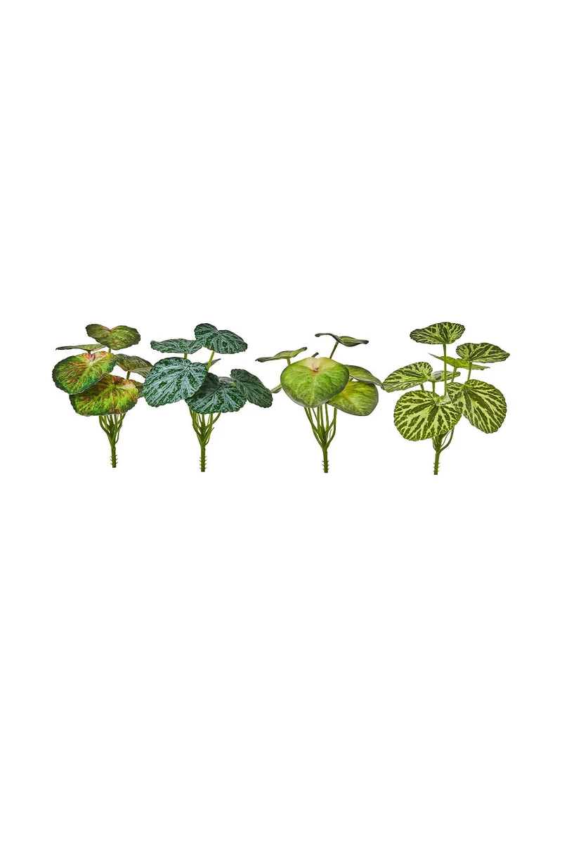 Plant 23cm groen 4 assortie x7 leaves