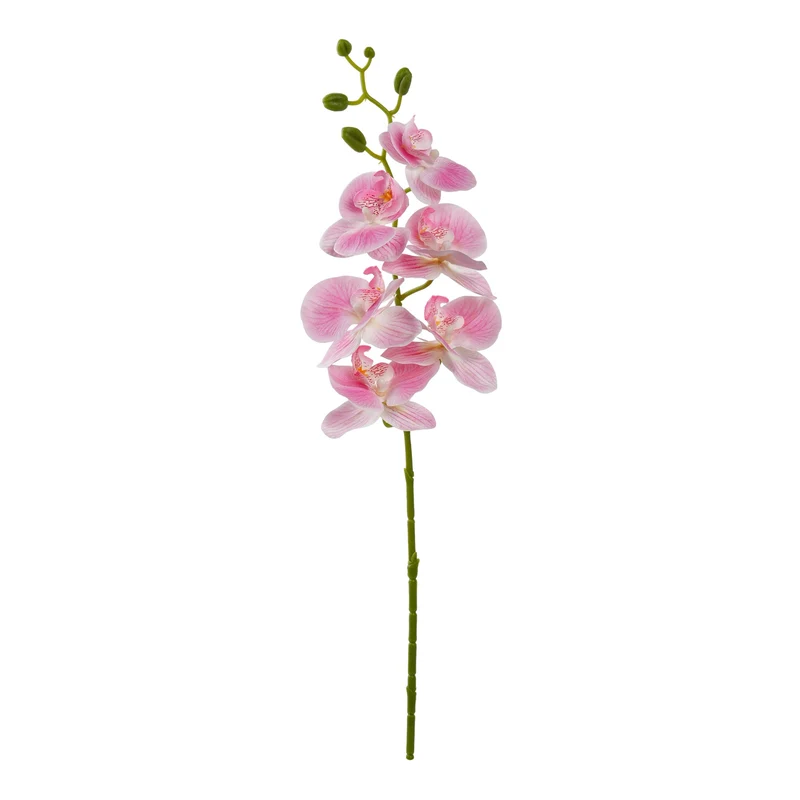 Orchidee tak x6 leaves 72cm Pink