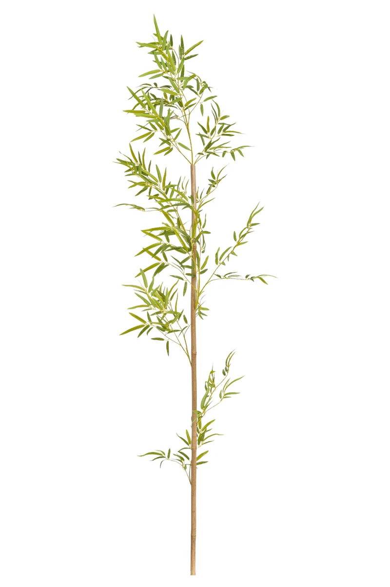 Bamboe tak 210cm
