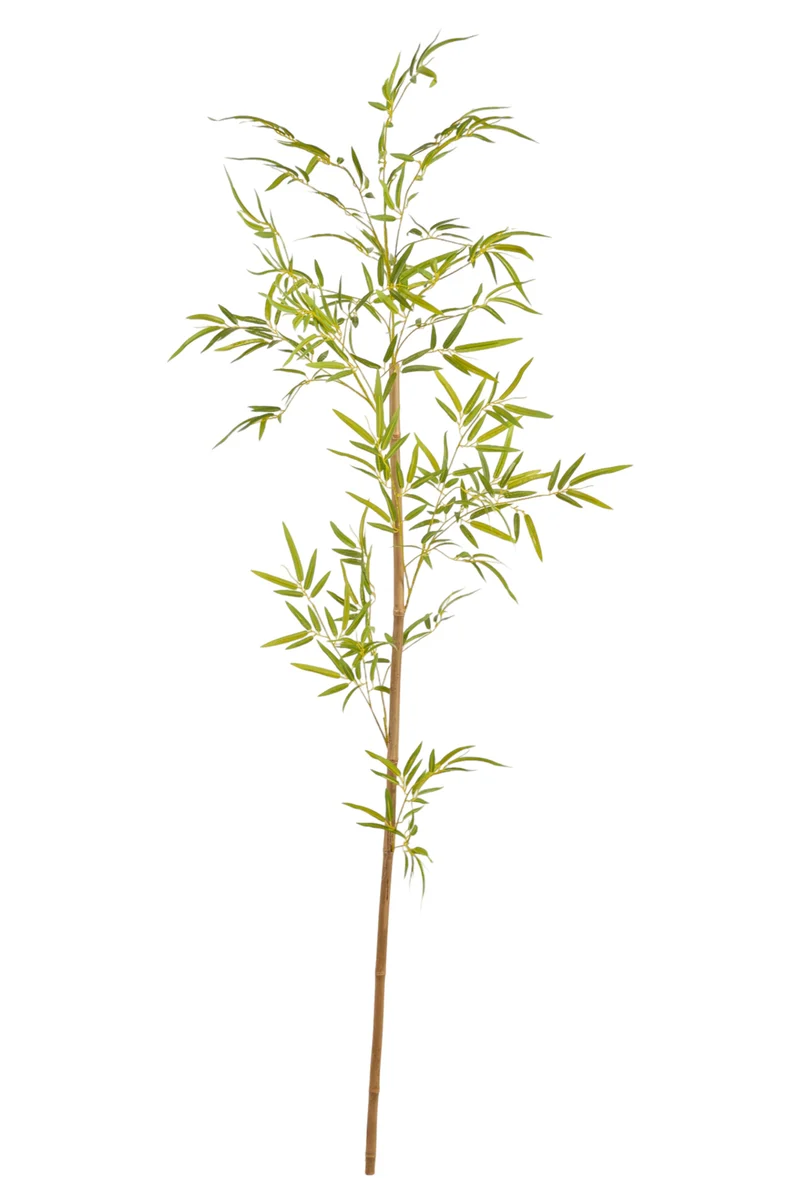 Bamboe tak 180cm