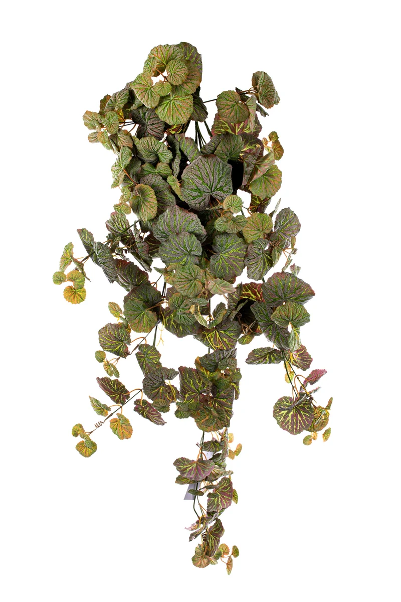 Hanging frosted geranium 114 leaves 130cm