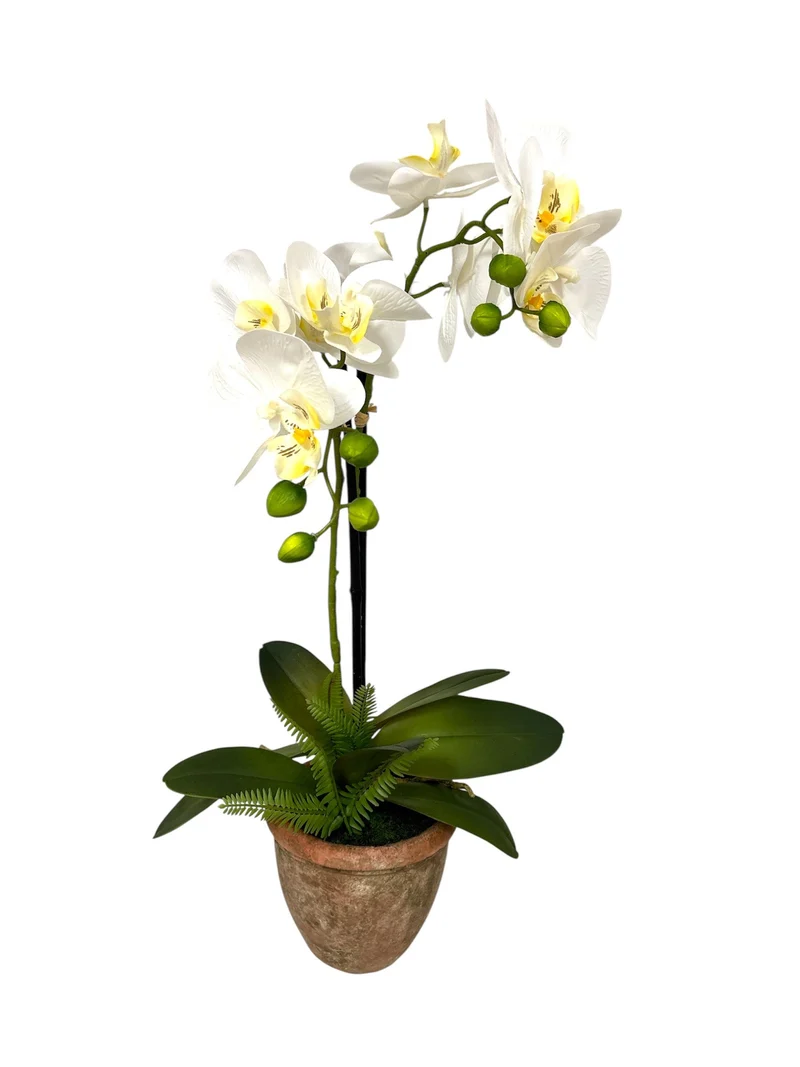 Orchid 2 branches + Fern in ceramic pot H61cm white