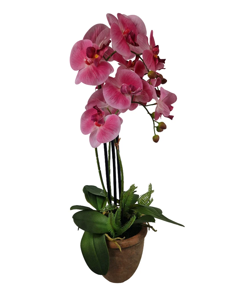 Orchid 3 branches + Fern in ceramic pot H68cm Pink