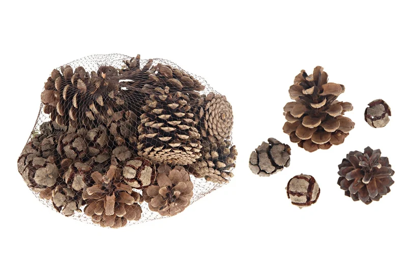 Net a 400 gram dennenappel/cypressus naturel