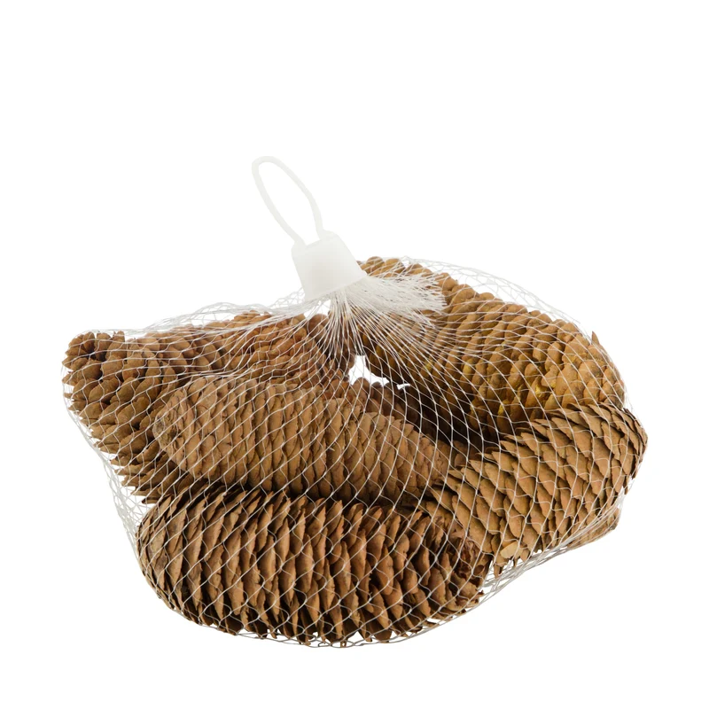 Pinecone 150gr nature 12x12x5cm Natural