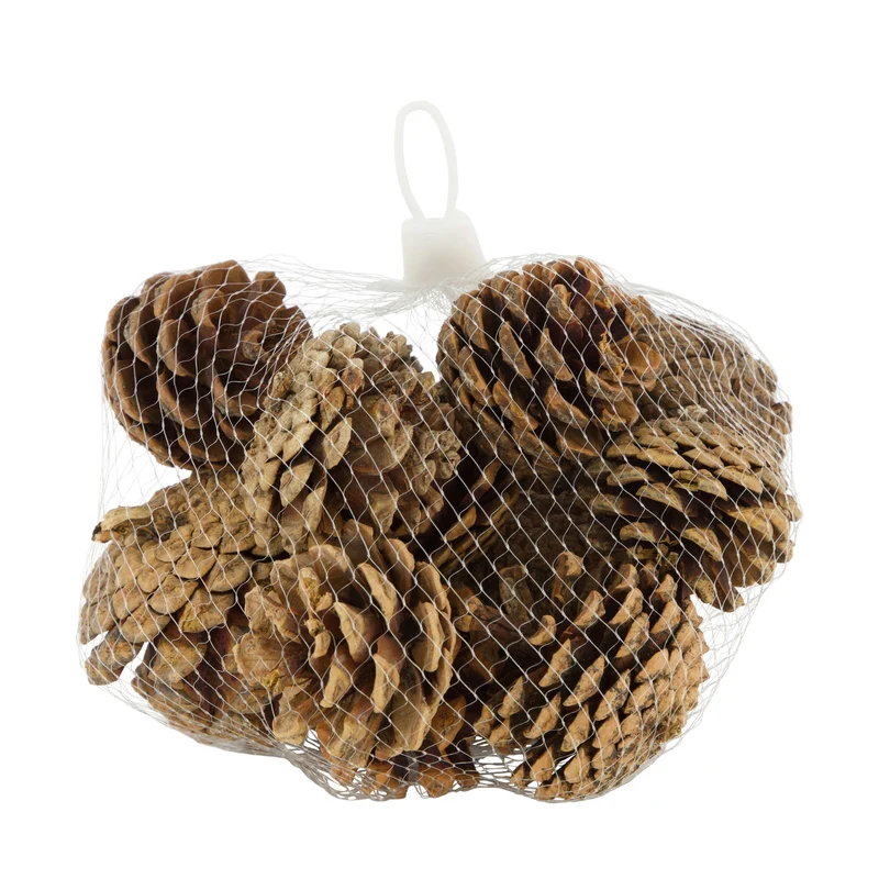 Pinecone 200gr nature 13x13x9cm Natural