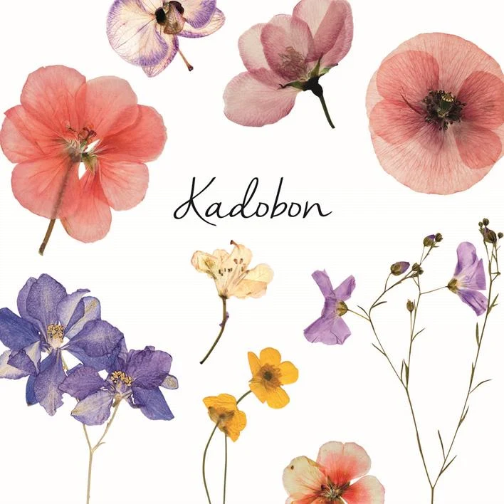 Pak a 12 kadobonnen met Veldbloemen