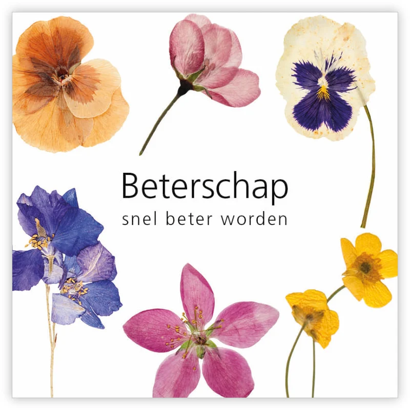 Pakje a 12 kadokaartjes Le Jardin Beterschap snel beter worden
