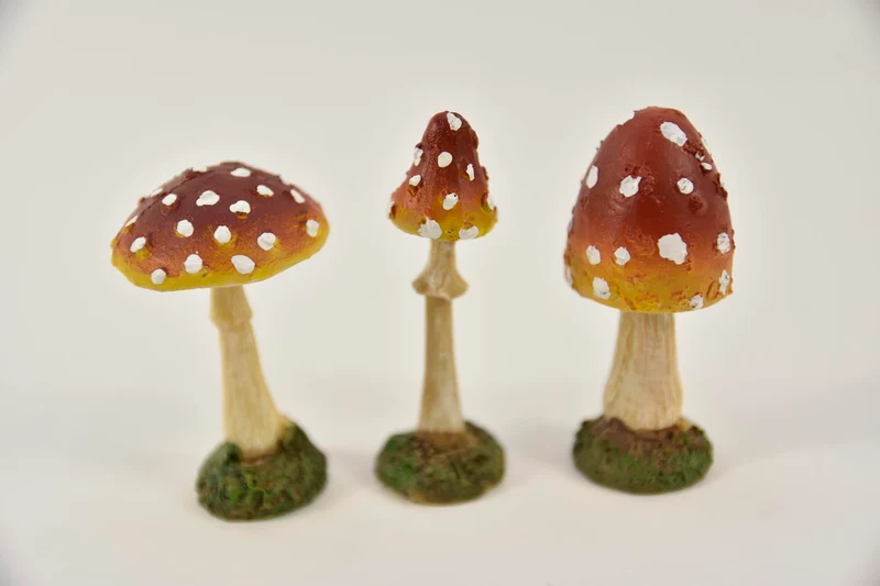 PADDENSTOEL POLY 3 ASS 7 CM