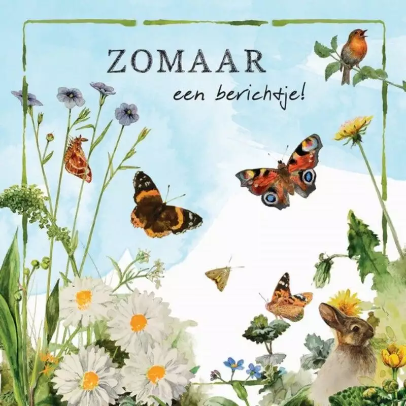 Zomaar een berichtje wenskaart Rien Poortvliet, 13,5 x 13,5 cm