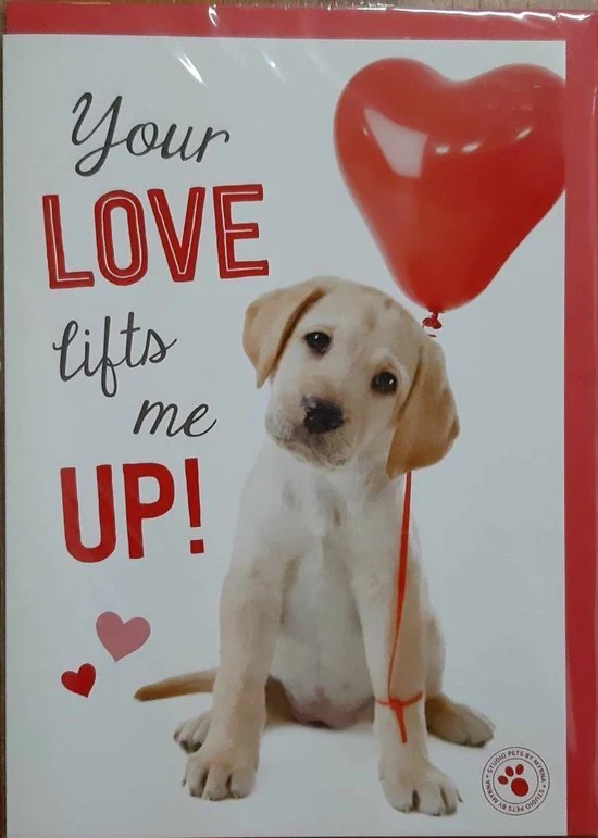 Your love lifts me up, Studio pets wenskaart