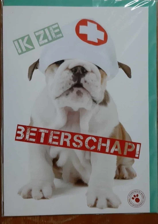 Beterschap bulldog wenskaart, binnenkant blanco