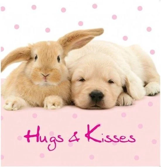 Hugs & Kisses wenskaart, binnenkant blanco