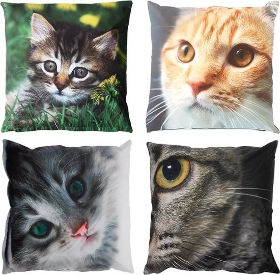 Poes buitenkussen, 40 x 40 cm
