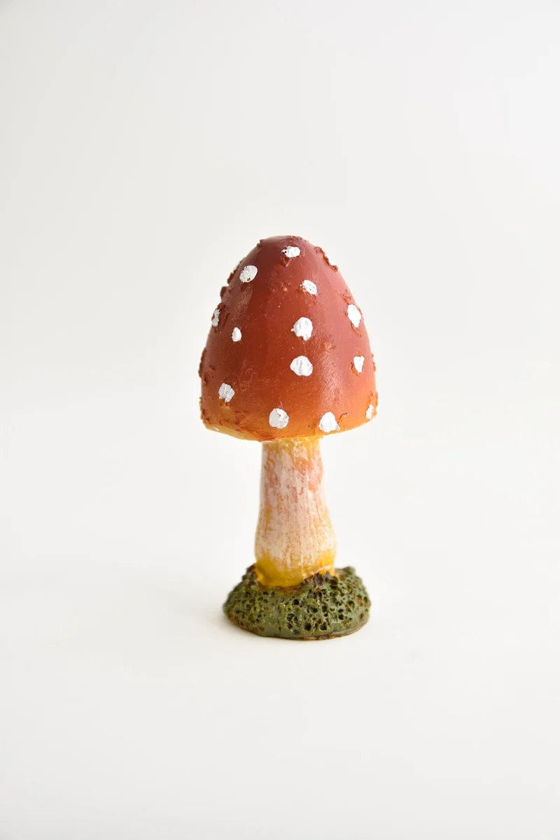 PADDENSTOEL BOL 4X4X8 CM