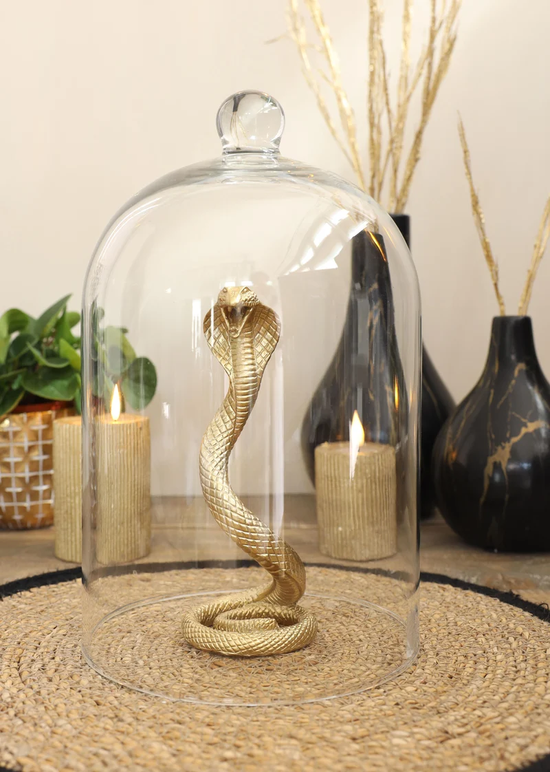 Grote glazen stolp met knop Ø18,2 h.30 cm