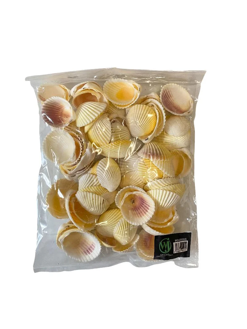 Cardium flavus 500gr