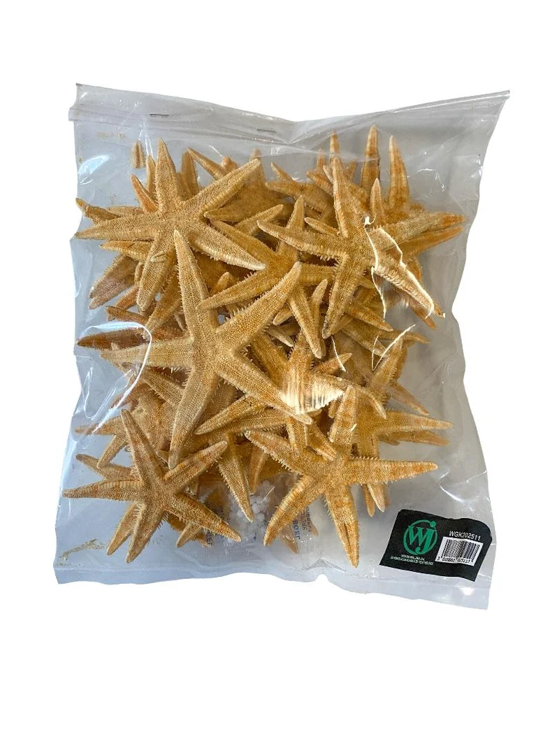 Sugar starfish ±9cm naturel 50pcs