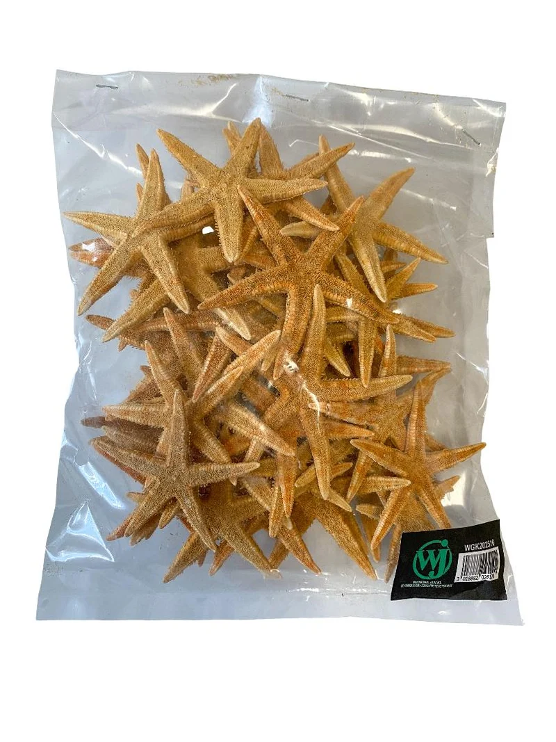 Sugar starfish ±6cm naturel 50pcs