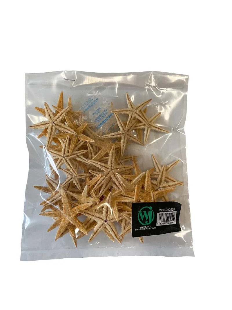 Sugar starfish ±2cm naturel 50pcs