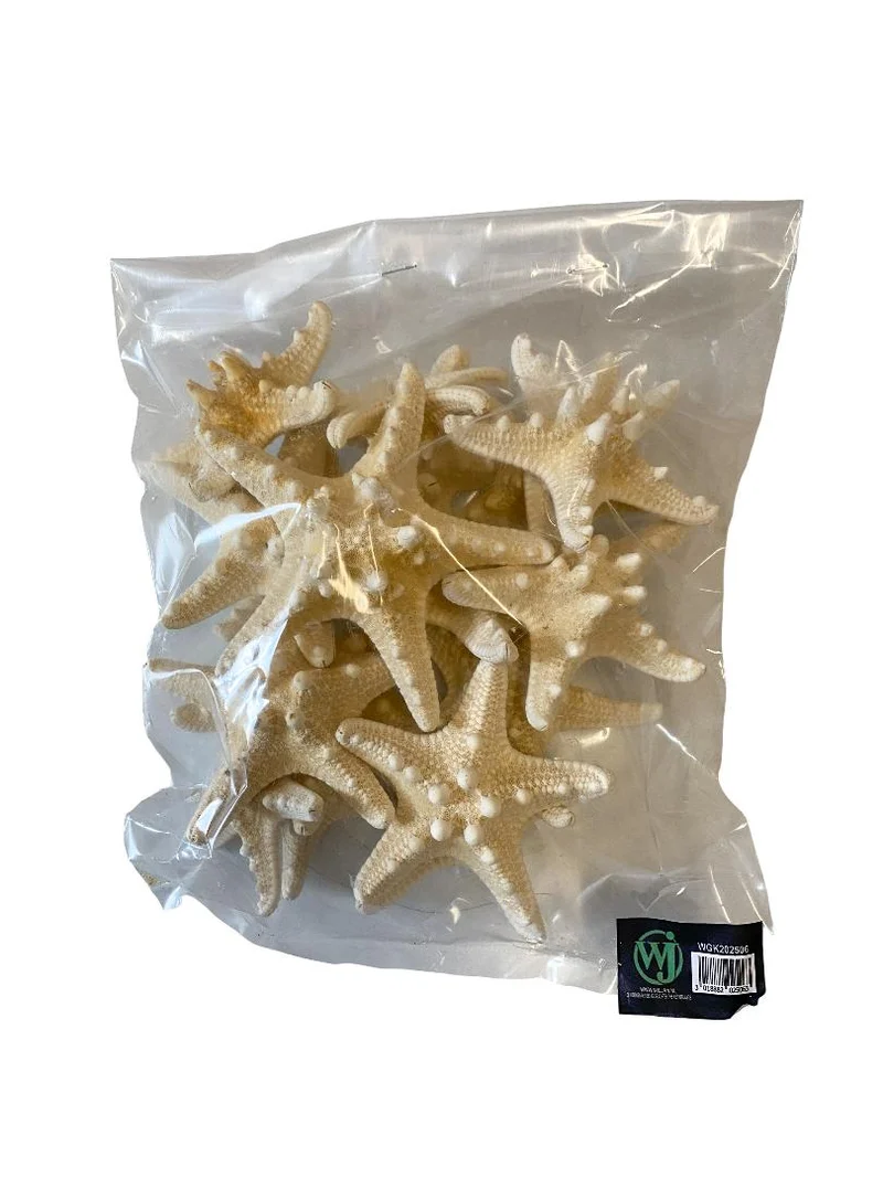 Knobby starfish bleached 7-10cm 15pcs