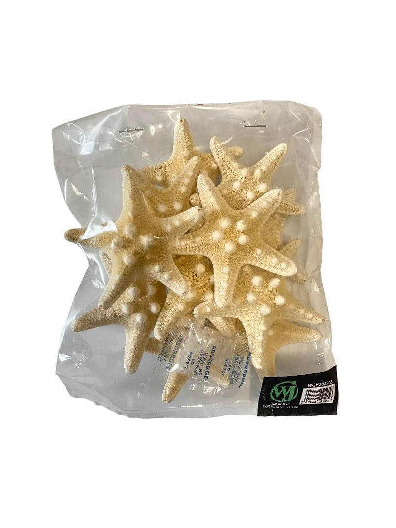 Knobby starfish bleached 5-7cm 12pcs