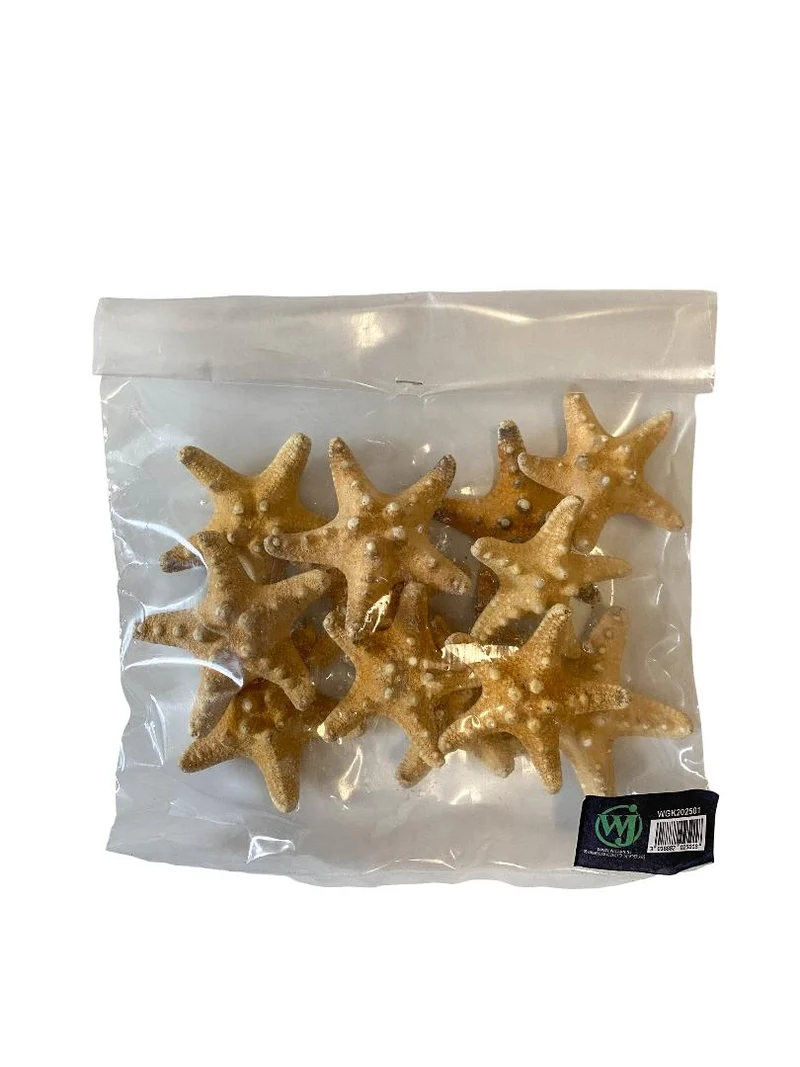 Knobby starfish natural 5-7cm 12pcs