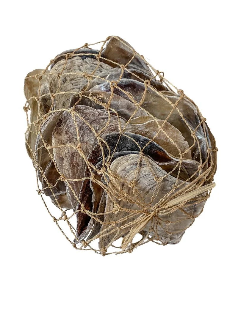Placuna natural 1KG in net