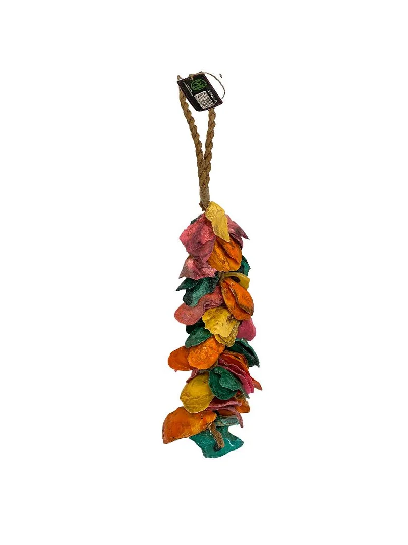 Oyster shell garland mix color 40cm ±485gr