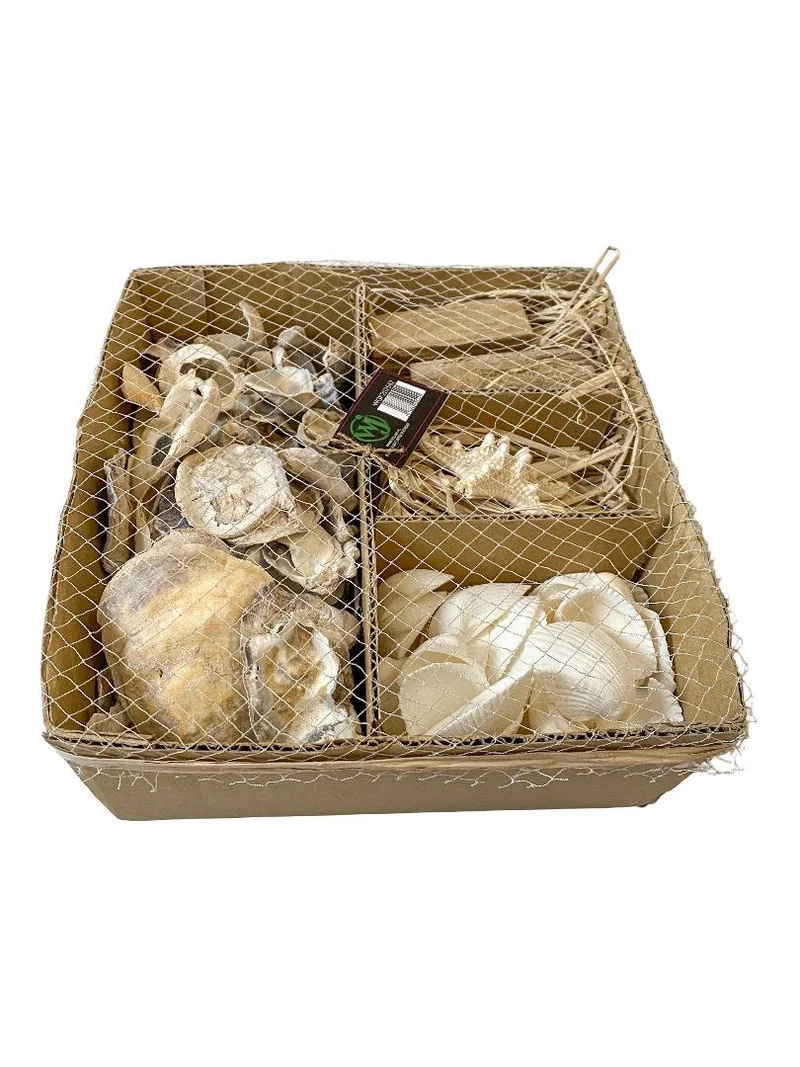 Shell mixbox 19x20x8cm natural