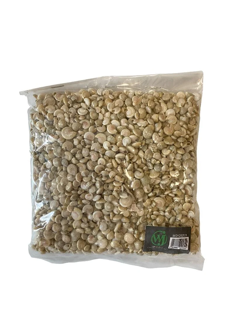Umbonium ''White'' 500gr