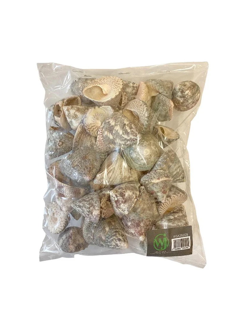 Trochus stellatus 500gr
