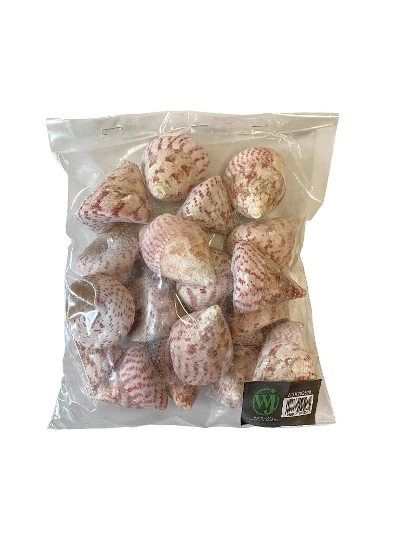 Trochus maculatus 500gr