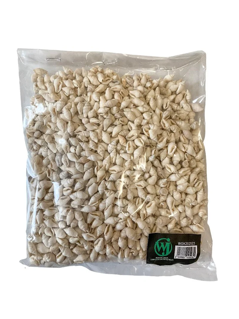 Pyrene philippinarum gebleekt 500gr