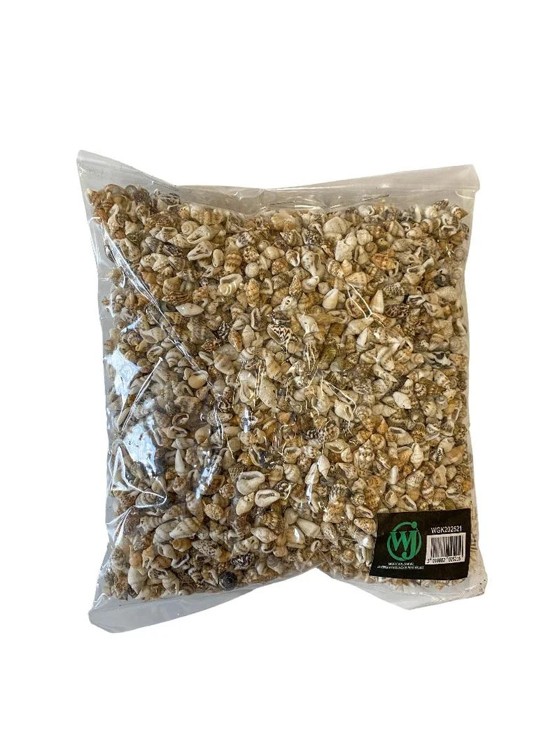 Pyrene philippinarum natural 500gr