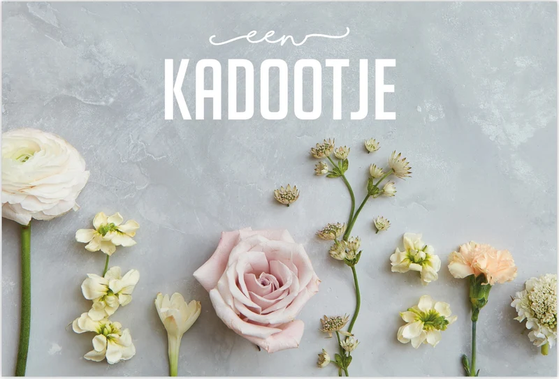 Pak a 25 kadobonnen Een leuk kadootje 3