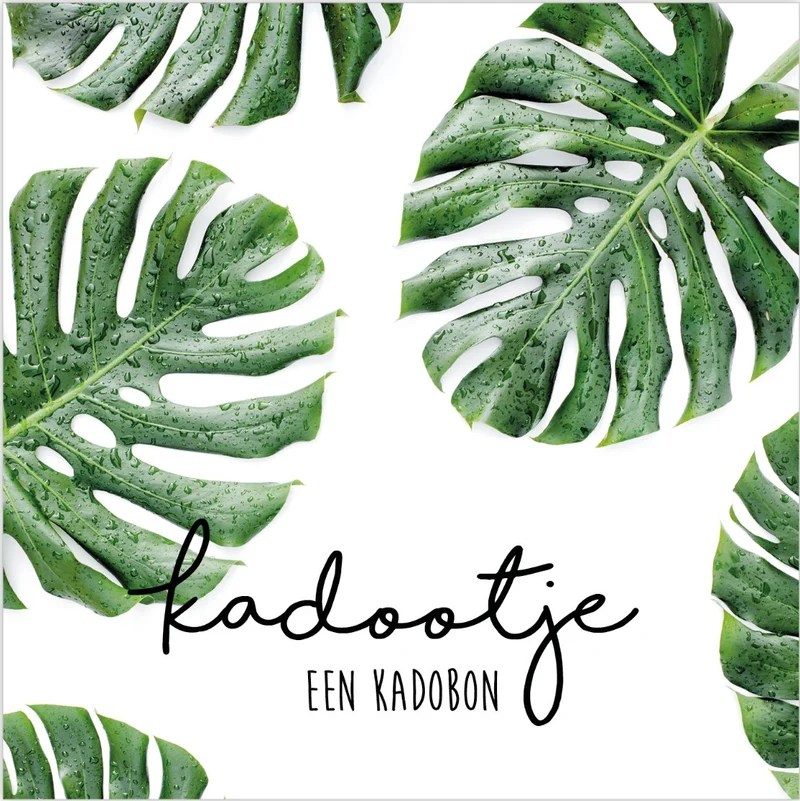 Pak a 12 kadobonnen ''Kadootje een kadobon'' monstera blad