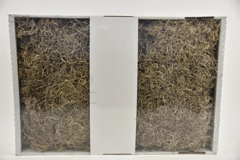 Tillandsia BULK natuur 2,5kg